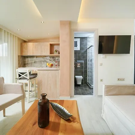 Dagos Luxury شقة لايميناس